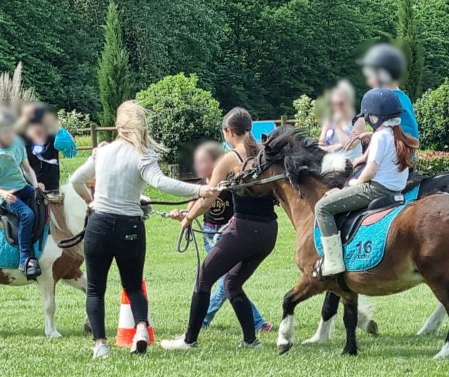 Event am Olgy Equestrian Center