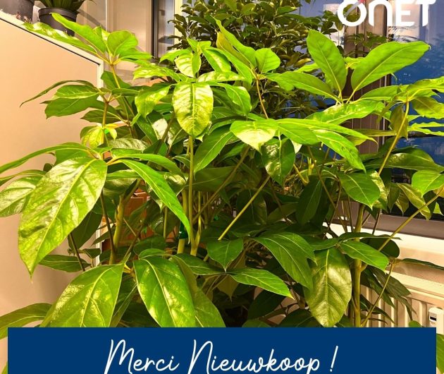 🌱 En Atem vu Gréngs bei Onet Lëtzebuerg! 🌱